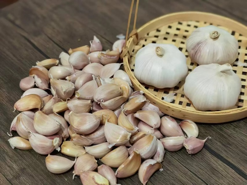 白皮蒜大蒜规格齐全价格美丽欢迎来电洽谈