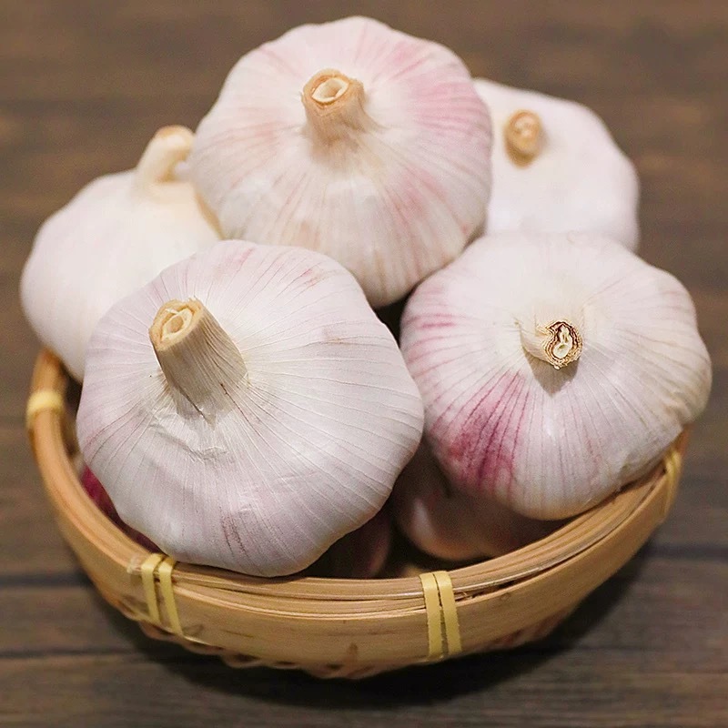 大蒜紫皮蒜对接各大商超品质保证量大从优