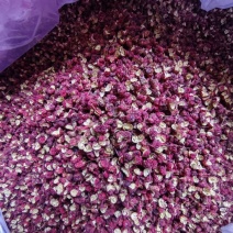 四川茂汶花椒,大量走货，长期稳定货源，欢迎采购