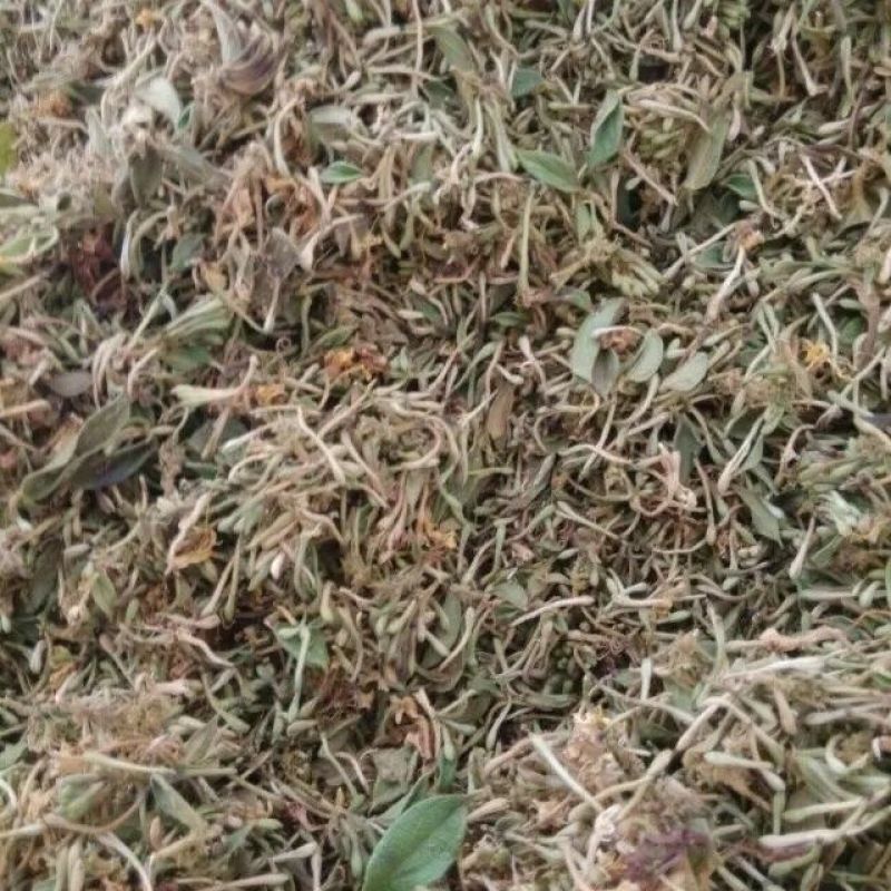 野生金银花深山采摘批发当天发货泡茶精选
