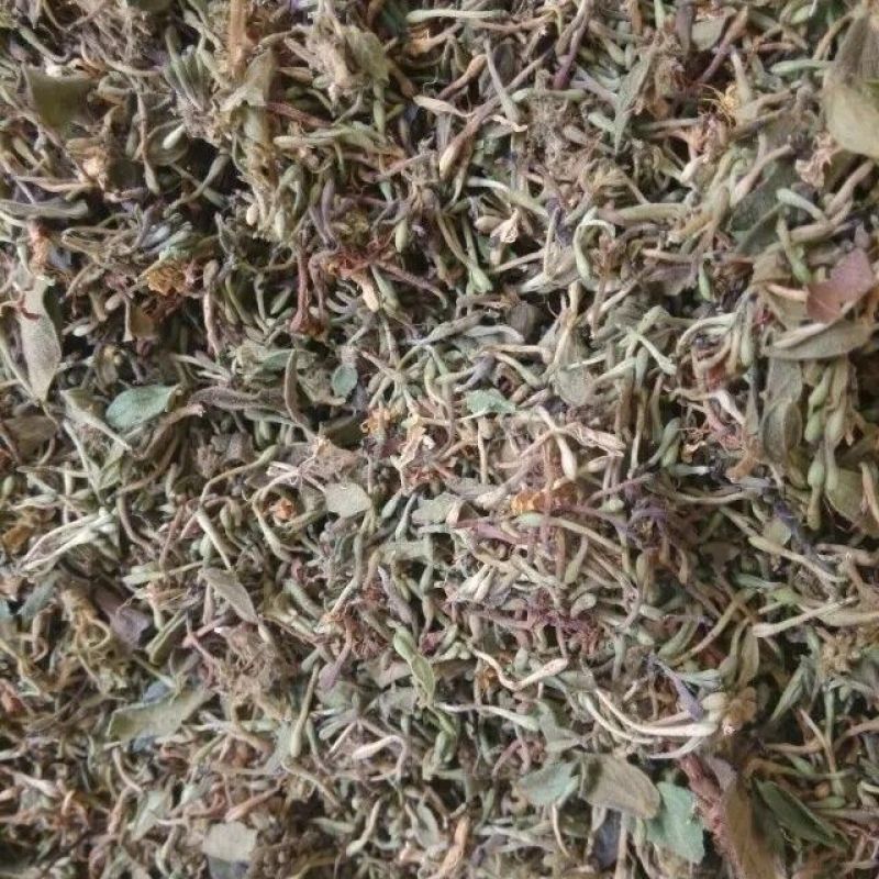 野生金银花深山采摘批发当天发货泡茶精选