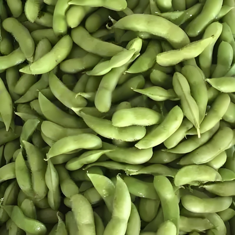 精品毛豆
