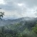 野生竹米大山里
