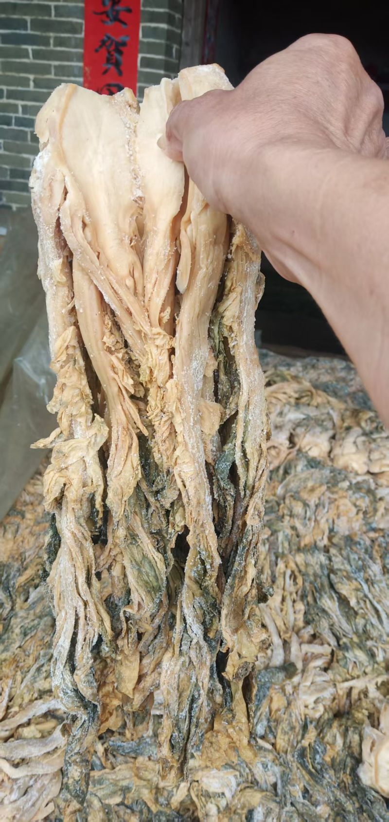梅菜20000多斤批发价