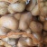 柏乡硕鑫土豆