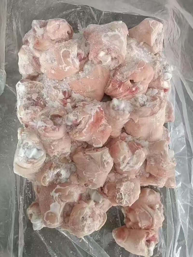 肥猪脚圈28个左右厂家直发全新日期