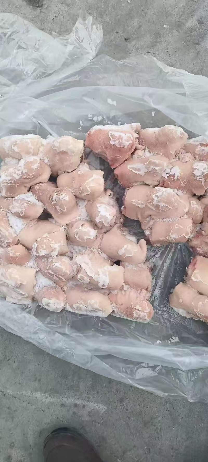 肥猪脚圈28个左右厂家直发全新日期