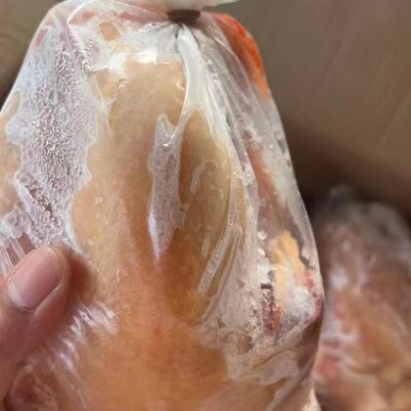 西装鸡规格齐全新鲜干净
