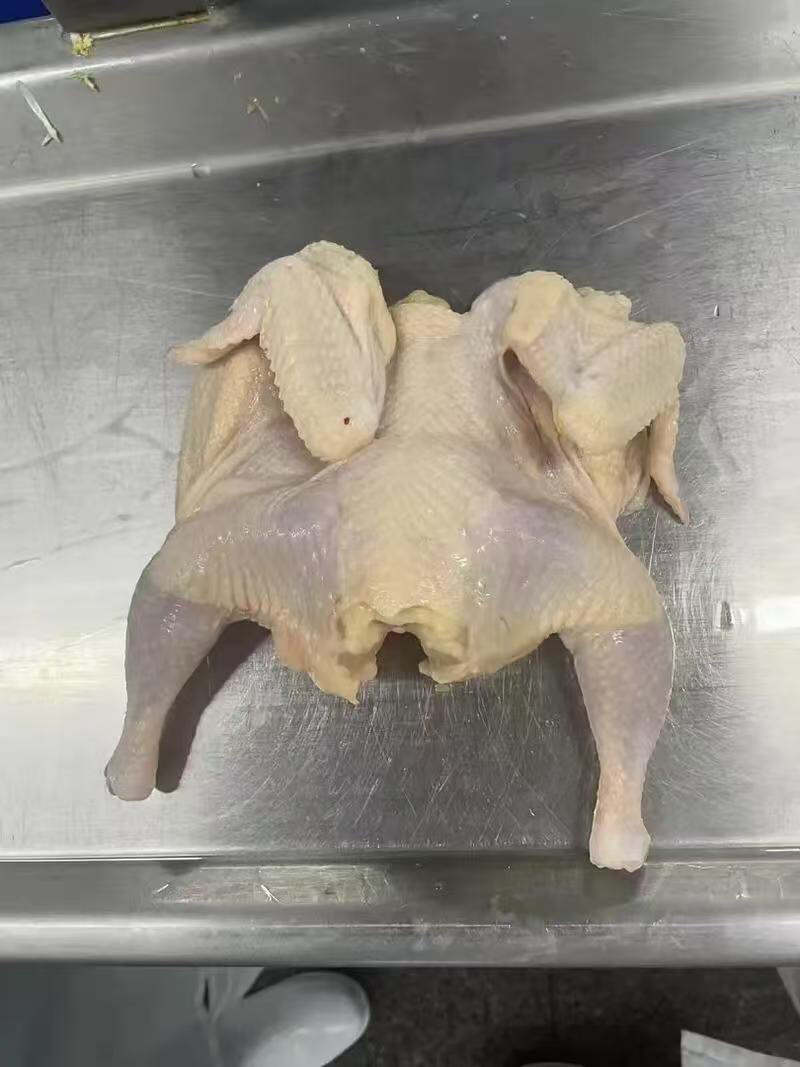 西装鸡规格齐全新鲜干净