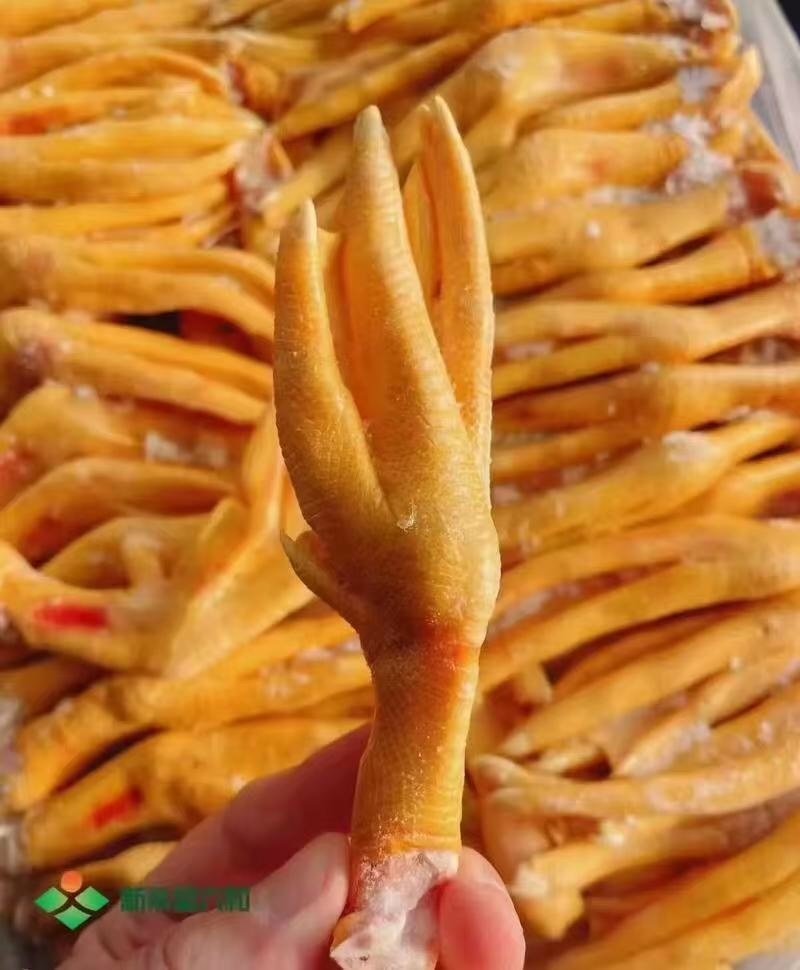 黄皮鸭掌干货齐全