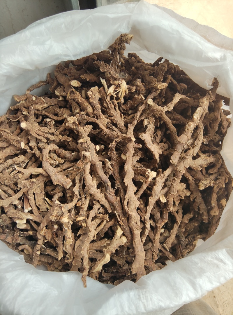 四川遂宁红心大叶石菖蒲苗量大从优抗寒冷存活率高