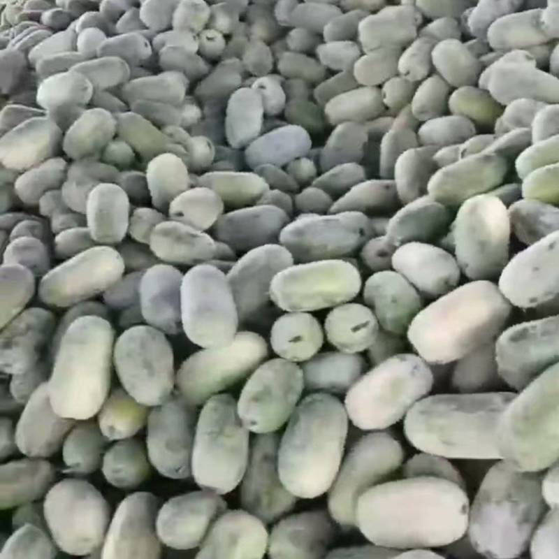 水果冬瓜大量现货，电商市场专用，各种规格都有