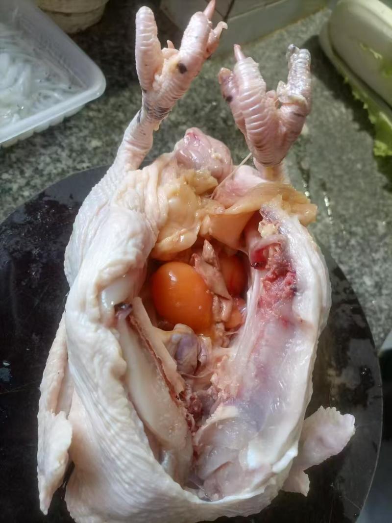 脆皮鸡淘汰老母鸡400天老鸡乸