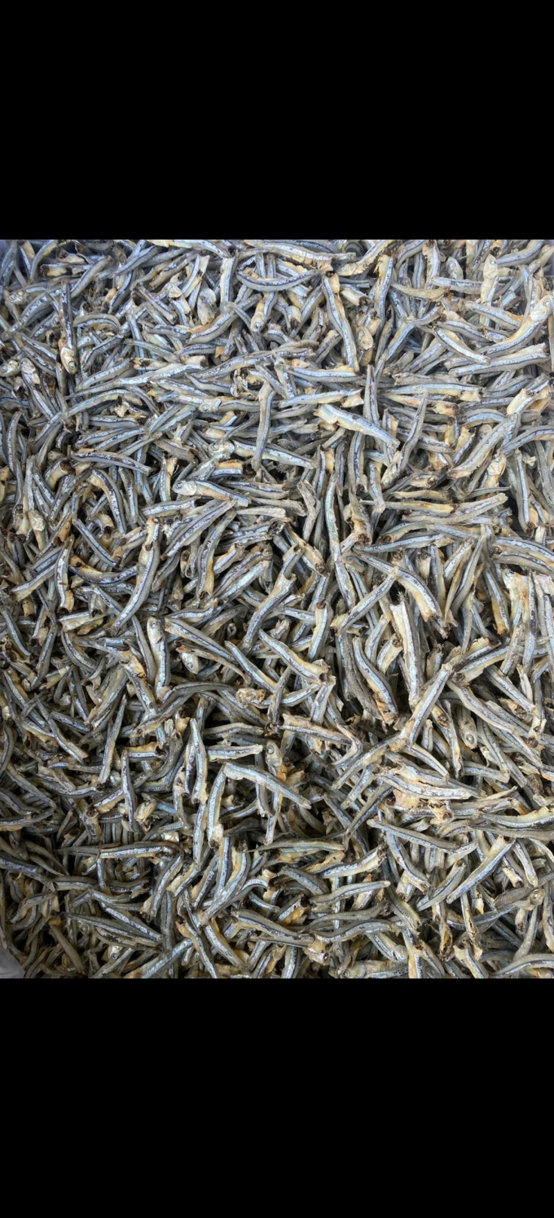 公鱼干！海燕鱼干！小鱼干