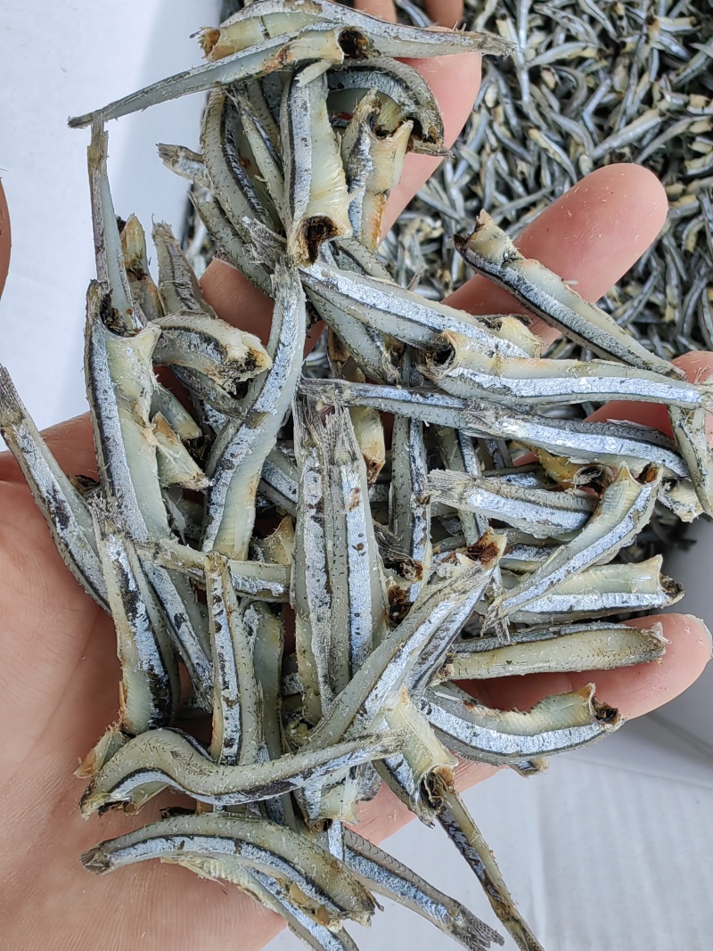 公鱼干！海燕鱼干！小鱼干