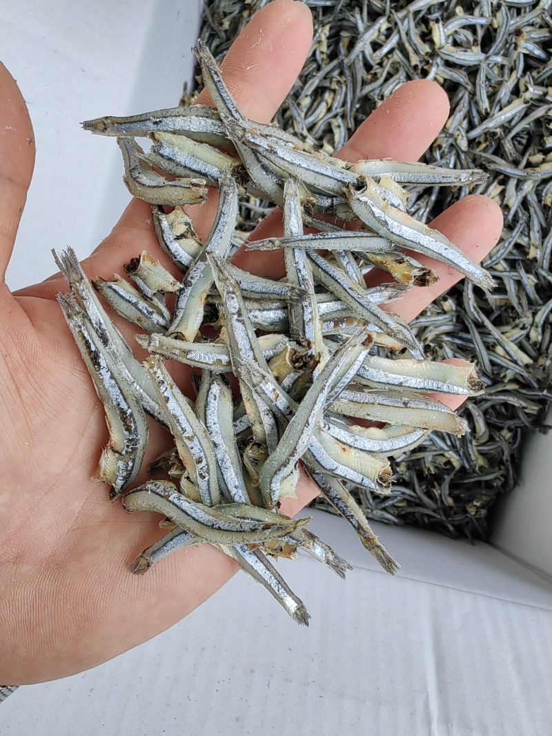公鱼干！海燕鱼干！小鱼干