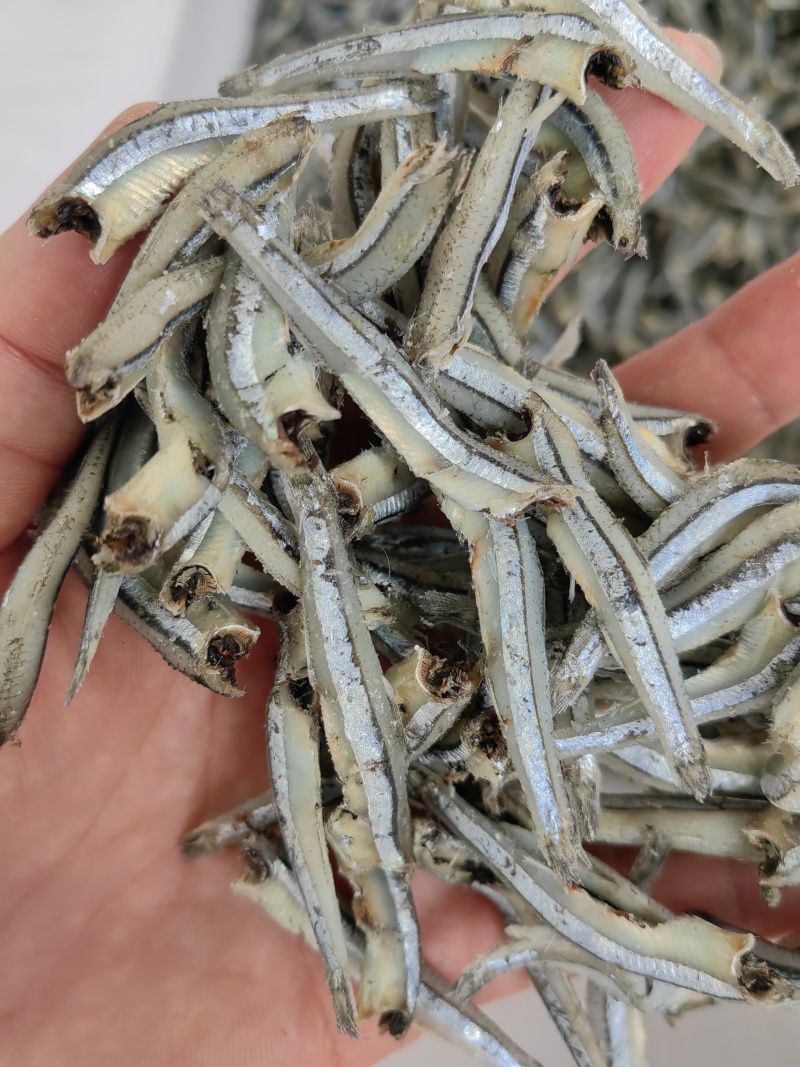 公鱼干！海燕鱼干！小鱼干