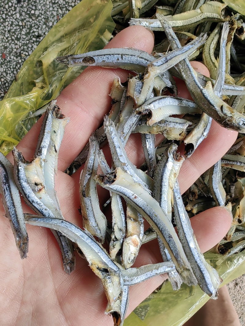 公鱼干！海燕鱼干！小鱼干