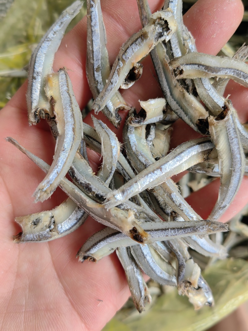 公鱼干！海燕鱼干！小鱼干