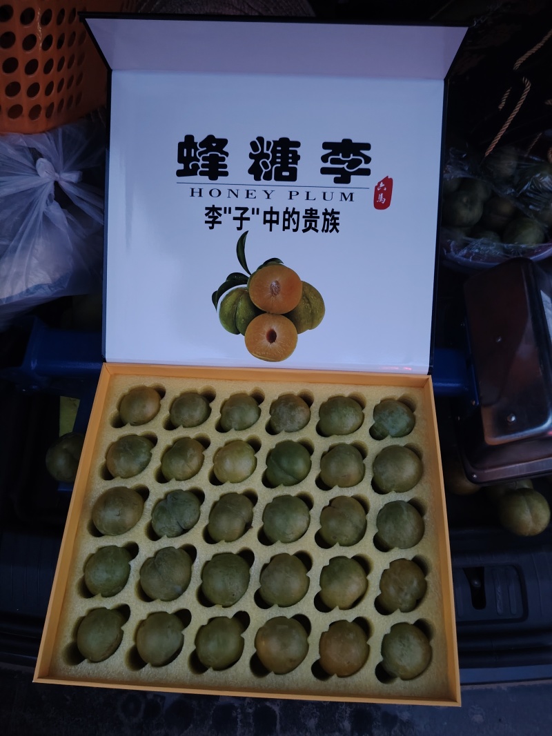 正宗六马蜂糖李