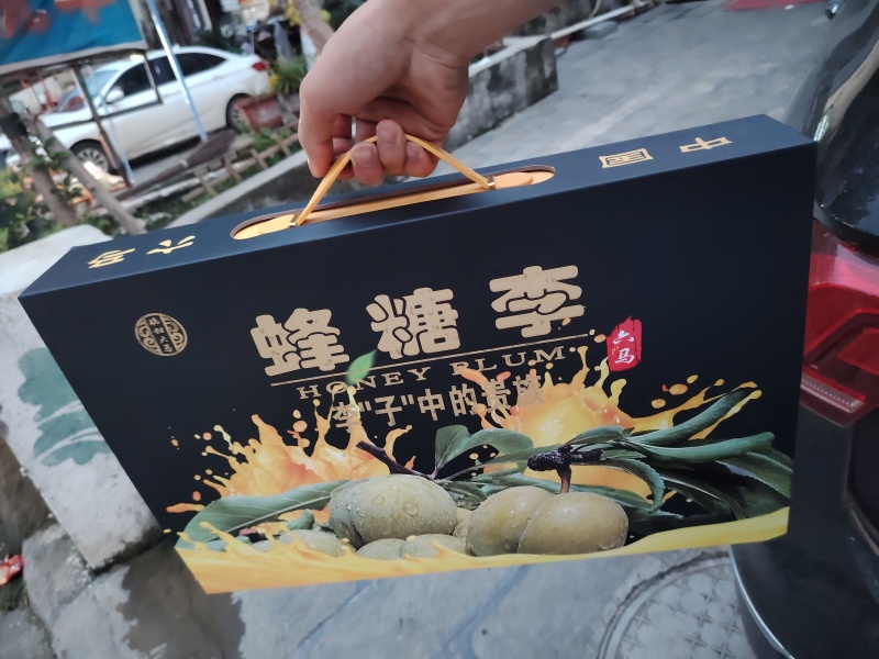 正宗六马蜂糖李