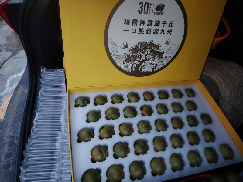 正宗六马蜂糖李