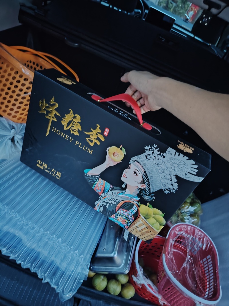 正宗六马蜂糖李