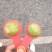 正宗六马蜂糖李
