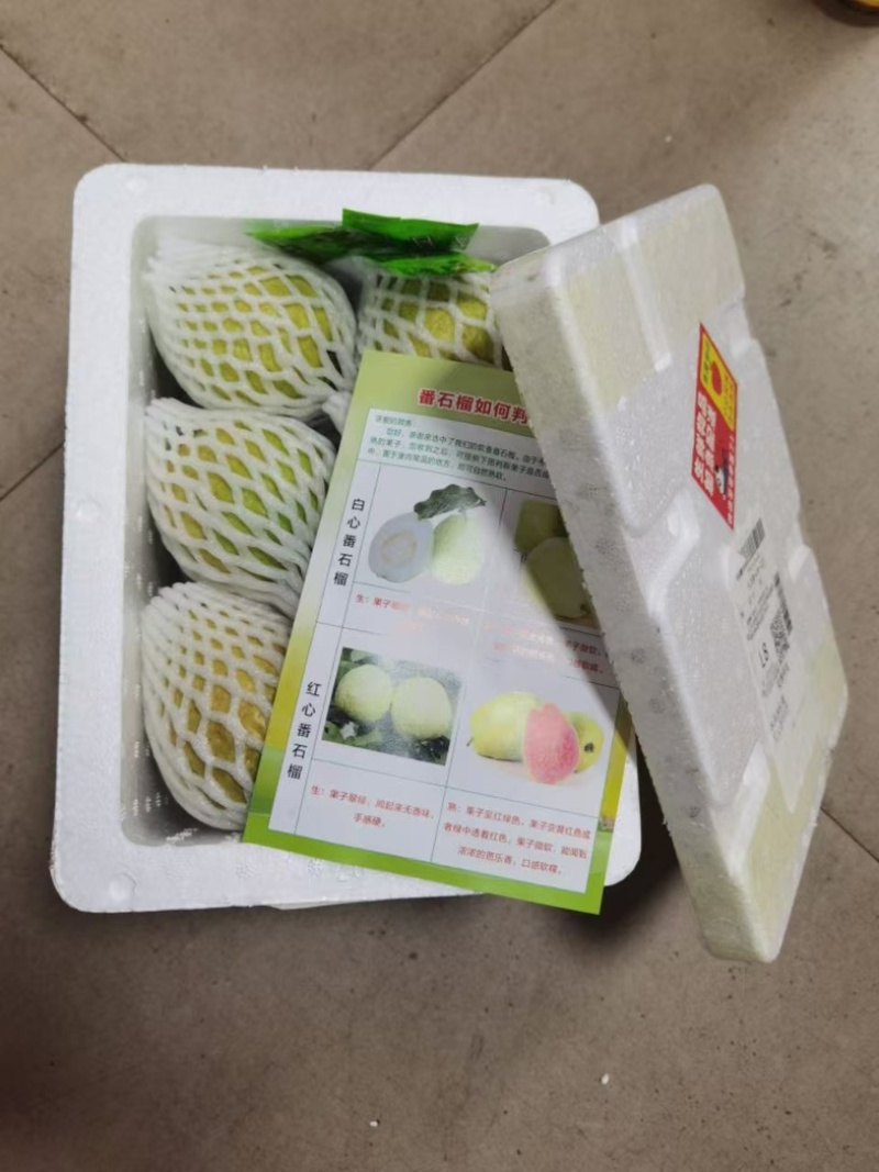 白心芭乐一件代发产地一手货源，量大优惠欢迎合作