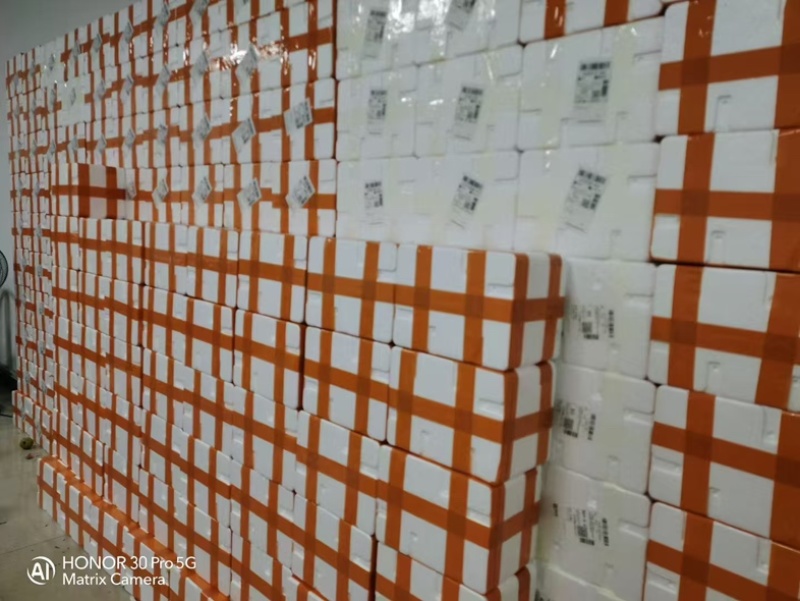 白心芭乐一件代发产地一手货源，量大优惠欢迎合作