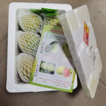 白心芭乐一件代发产地一手货源，量大优惠欢迎合作
