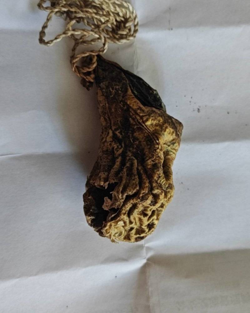 狗宝，天然狗宝，狗的胆结石