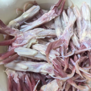 新鲜冷冻鸭舌