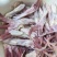 新鲜冷冻鸭舌