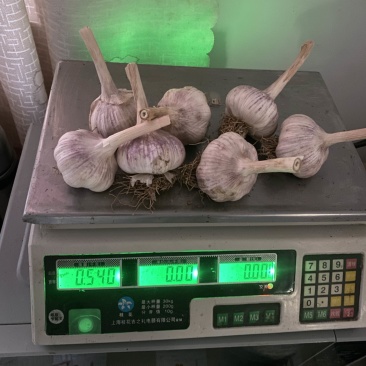 蒜种，红蒜，46瓣，河北蒜种