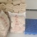 惠水县干米粉厂家直发一手货源资质齐全批发零售均可发货