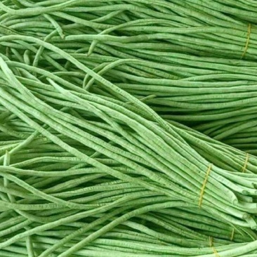 湖北长豆角，青豆角，新鲜品质好
