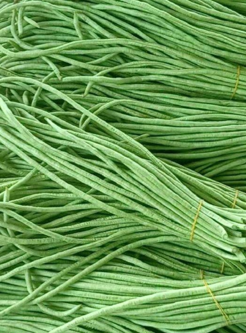 湖北长豆角，青豆角，新鲜品质好