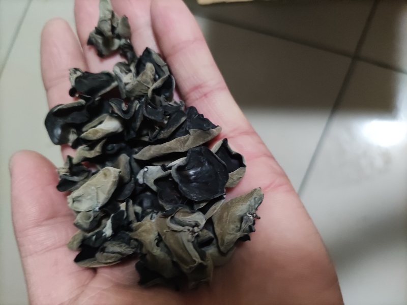 今年头茬新木耳，需要的联系我，