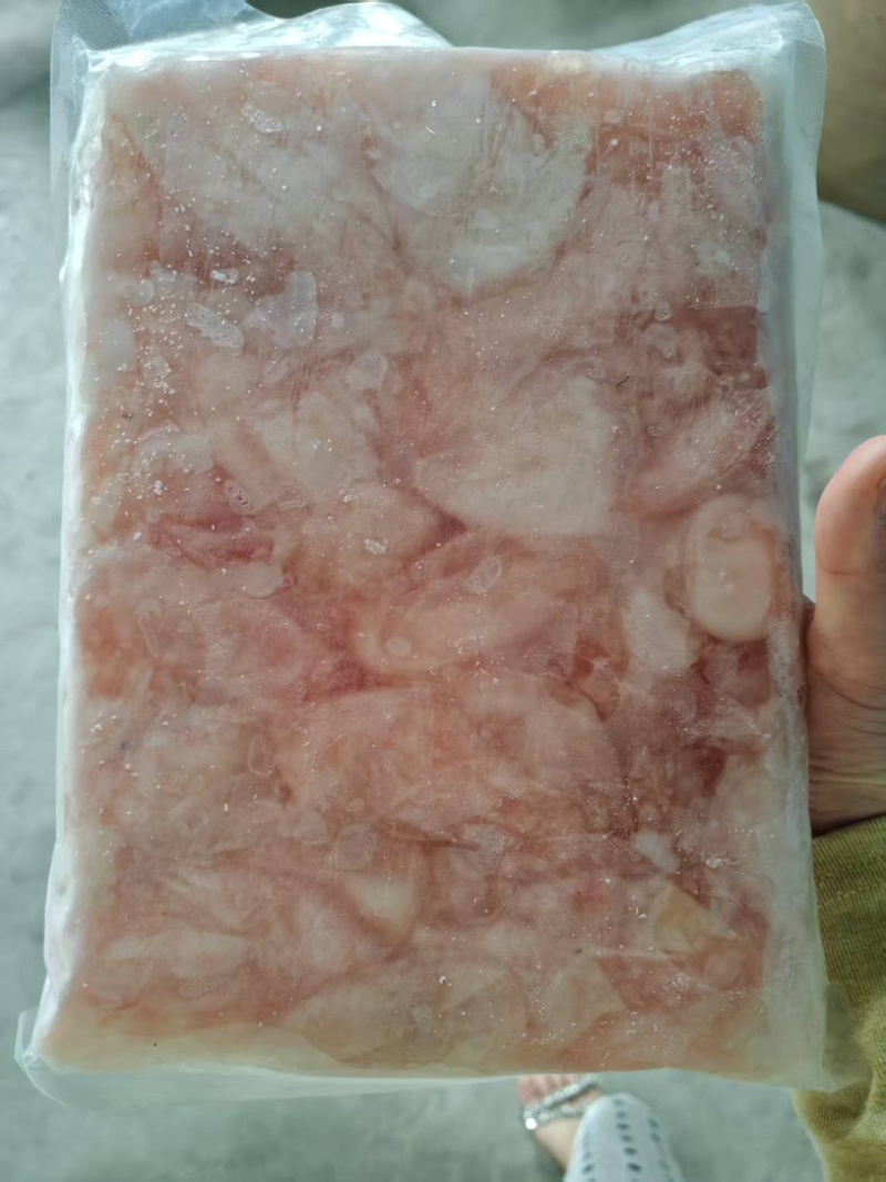 特色白鲢鱼泡