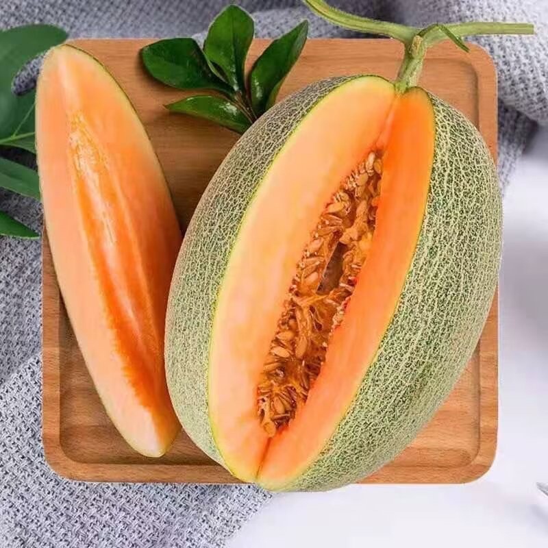 民勤蜜瓜西周蜜金红宝