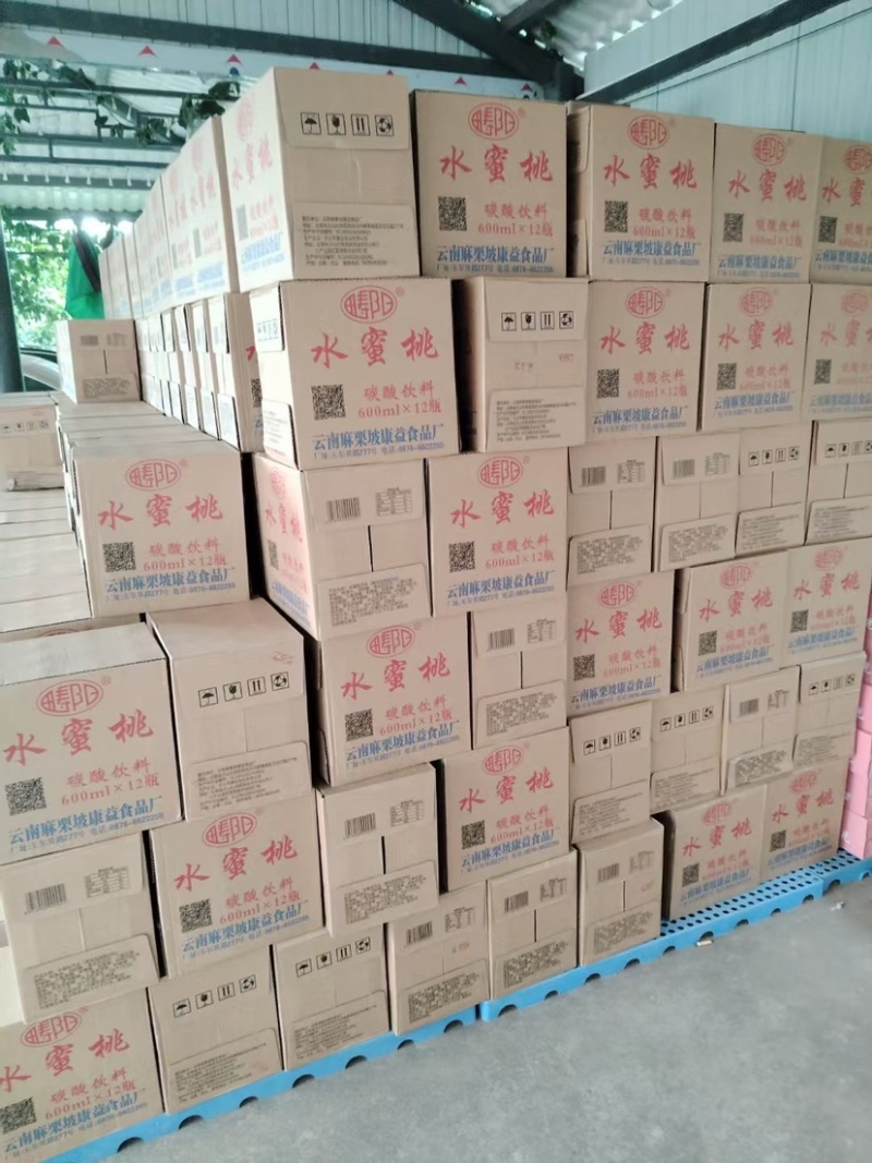 云南麻栗坡香槟汽水饮料儿时味道老牌子瓶装600ml多口味