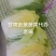 娃娃菜半净菜大量有货，全年不断货欢迎大家来电询价。