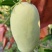 黄玉芒果