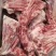 加肉羊方肩