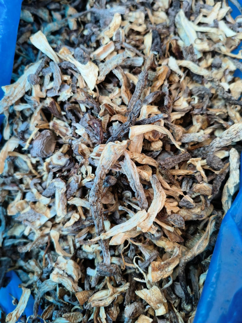 东北特产碎鹿茸菇干非精品新鲜干货可批发可包邮