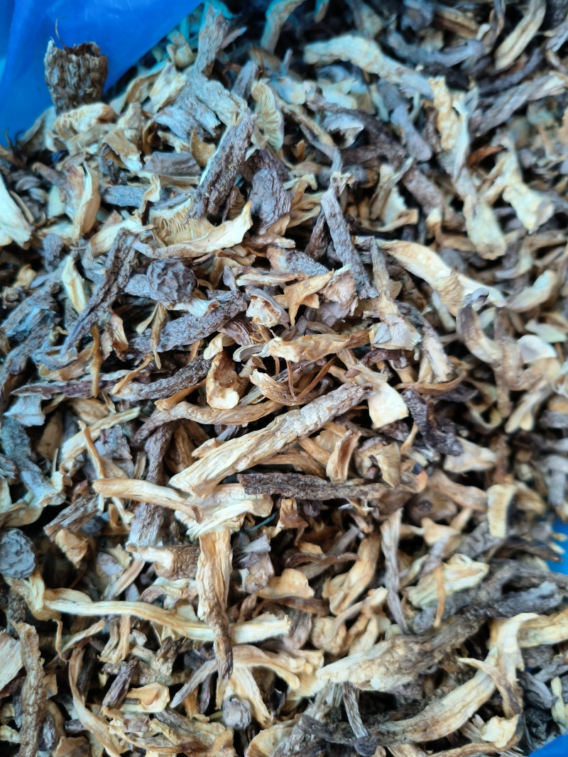 东北特产碎鹿茸菇干非精品新鲜干货可批发可包邮
