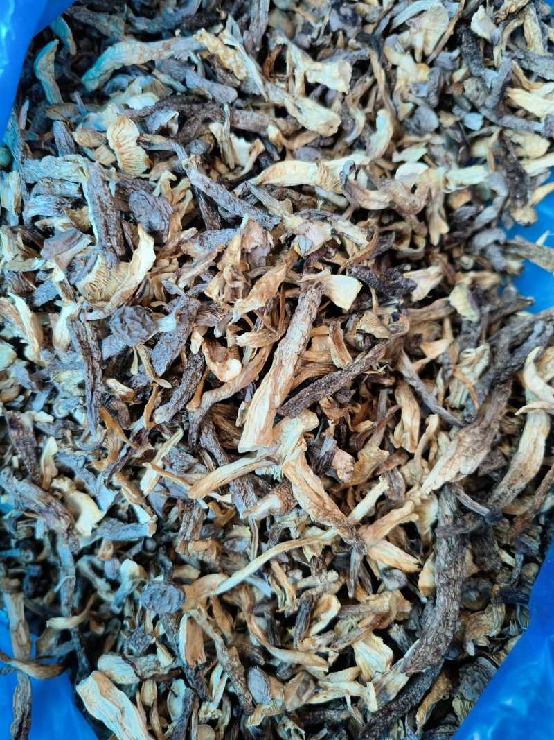 东北特产碎鹿茸菇干非精品新鲜干货可批发可包邮