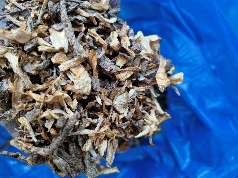 东北特产碎鹿茸菇干非精品新鲜干货可批发可包邮