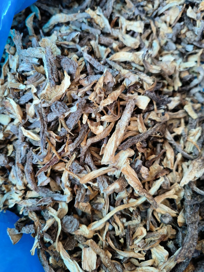 东北特产碎鹿茸菇干非精品新鲜干货可批发可包邮